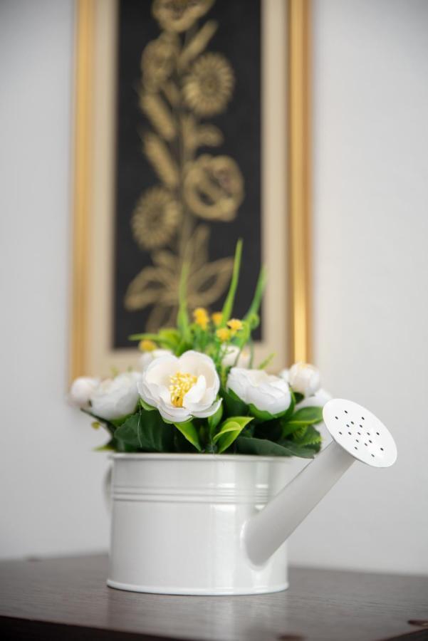 Apartmani Silvana&Vera Senj  Ngoại thất bức ảnh